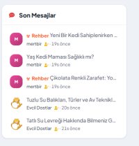 EEkran Alıntısı.PNG